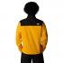 THE NORTH FACE Men’s Alpine Polartec® 200 Full-Zip fleece - Summit Gold/TNF Black-NPF