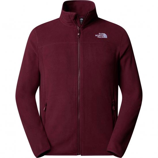 THE NORTH FACE Men's 100 Glacier Full-Zip Fleece - Alpine Plum