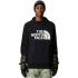 The North Face Men's Tekno Logo Hoodie DWR - Ανδρικό Φούτερ DWR - TNF Black NPF