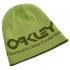 Oakley Tnp Reversible Beanie - Σκούφος Unisex - Fern/Light Green